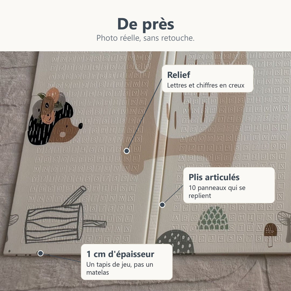 Gros plan sur le relief de lettres et de chiffres et les plis du tapis de jeu forêt et lion