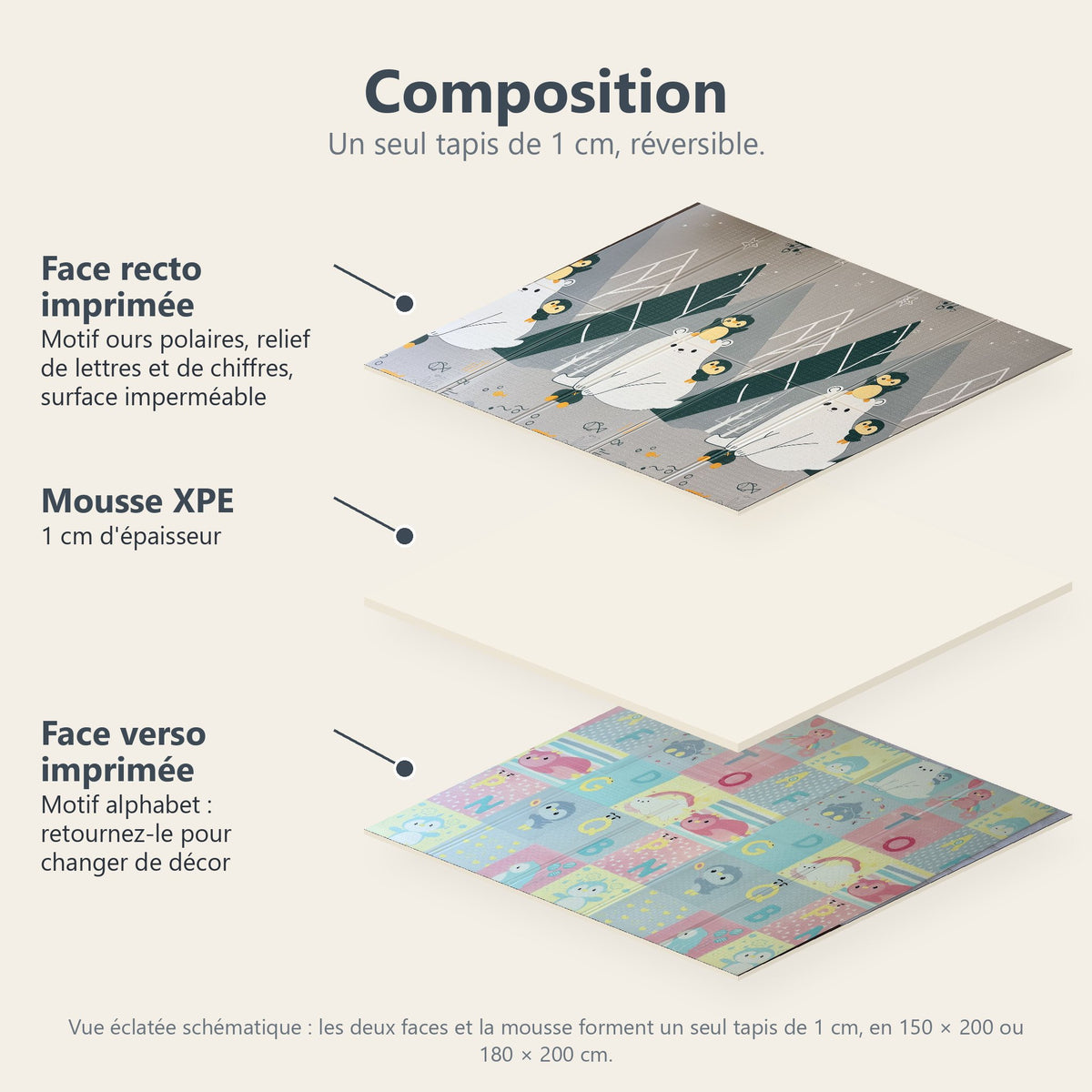 Vue éclatée du tapis ours polaires et alphabet : face recto imprimée, mousse XPE de 1 cm, face verso imprimée